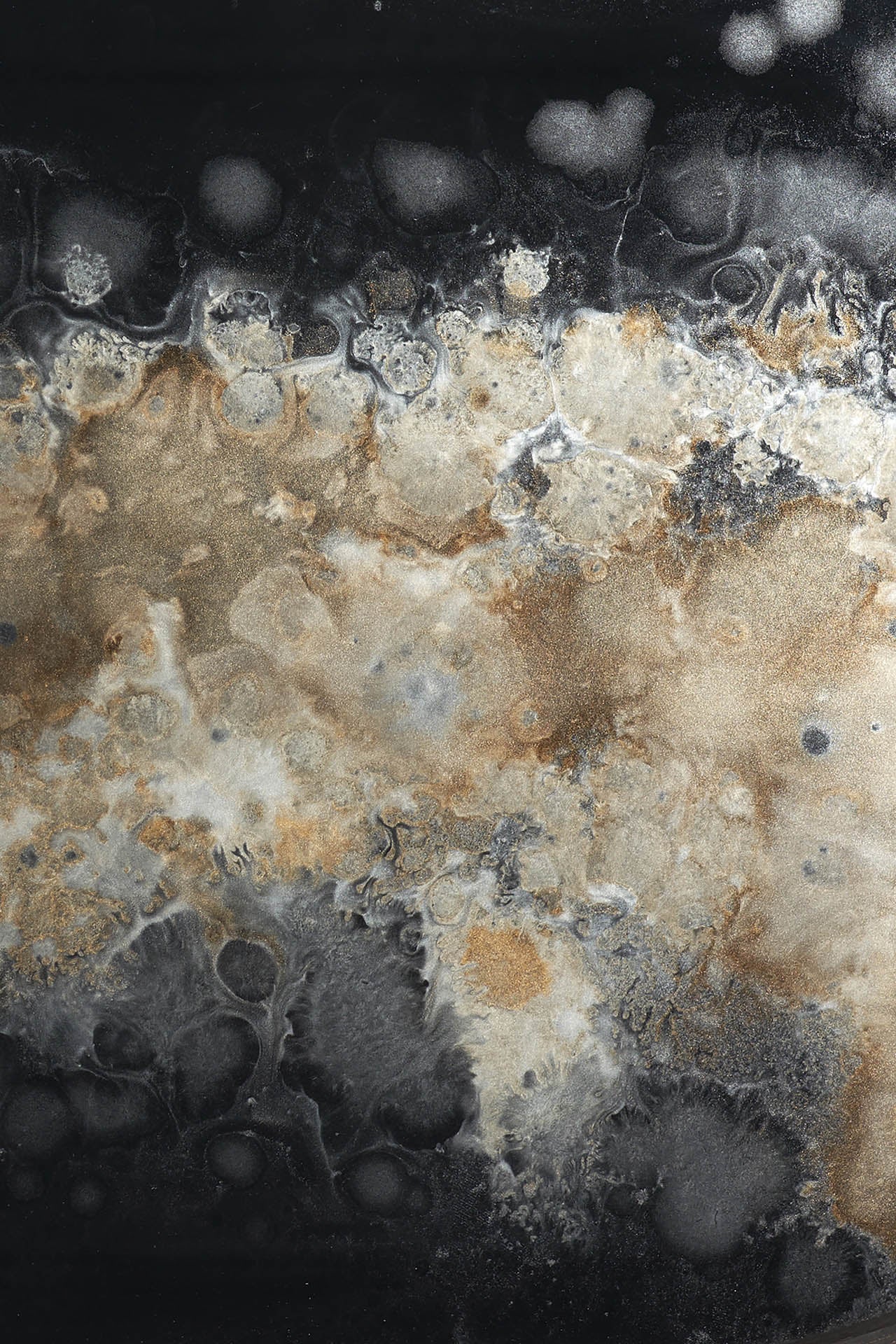 Round Glass Organic Tray, Black