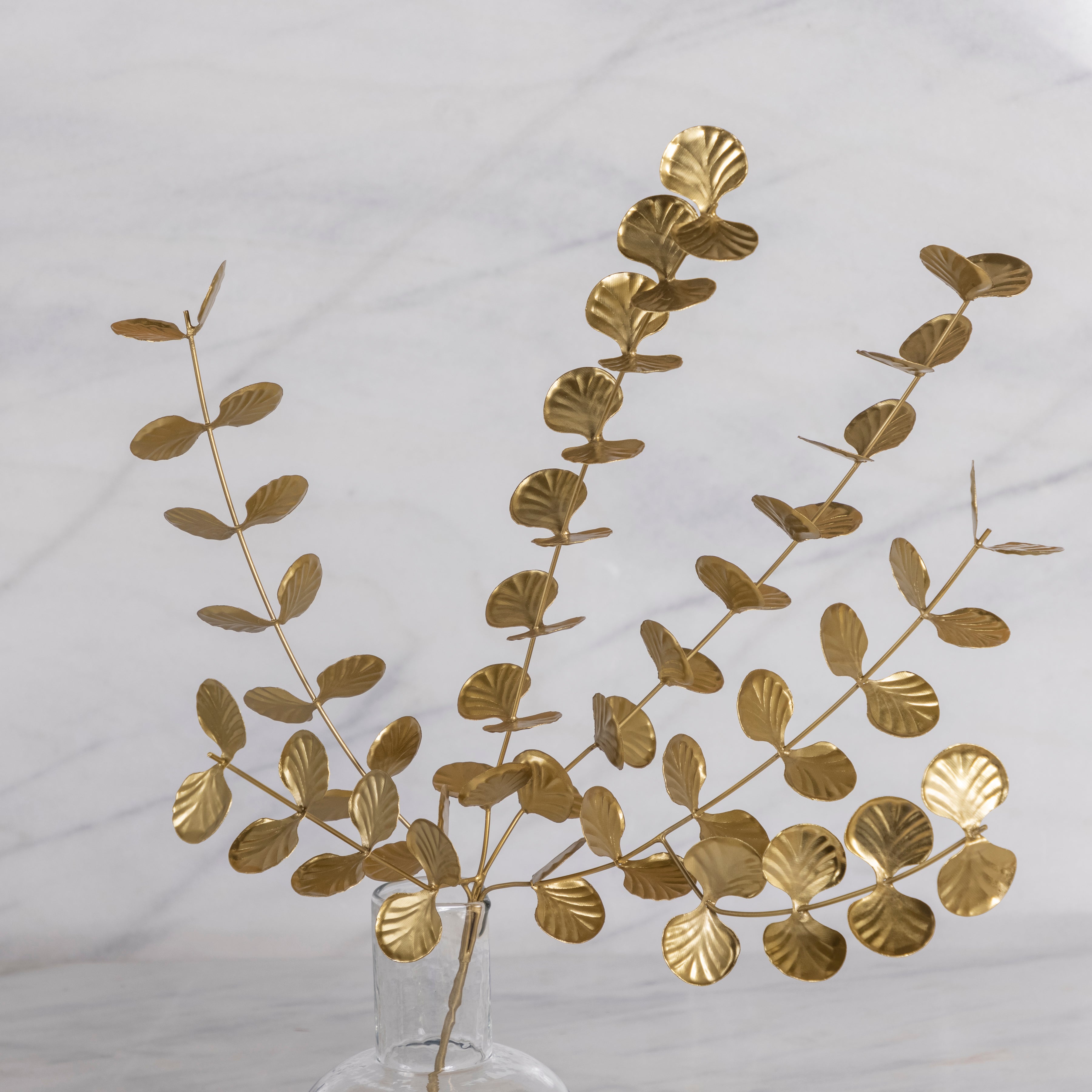 Botanical Stem, Eucalyptus