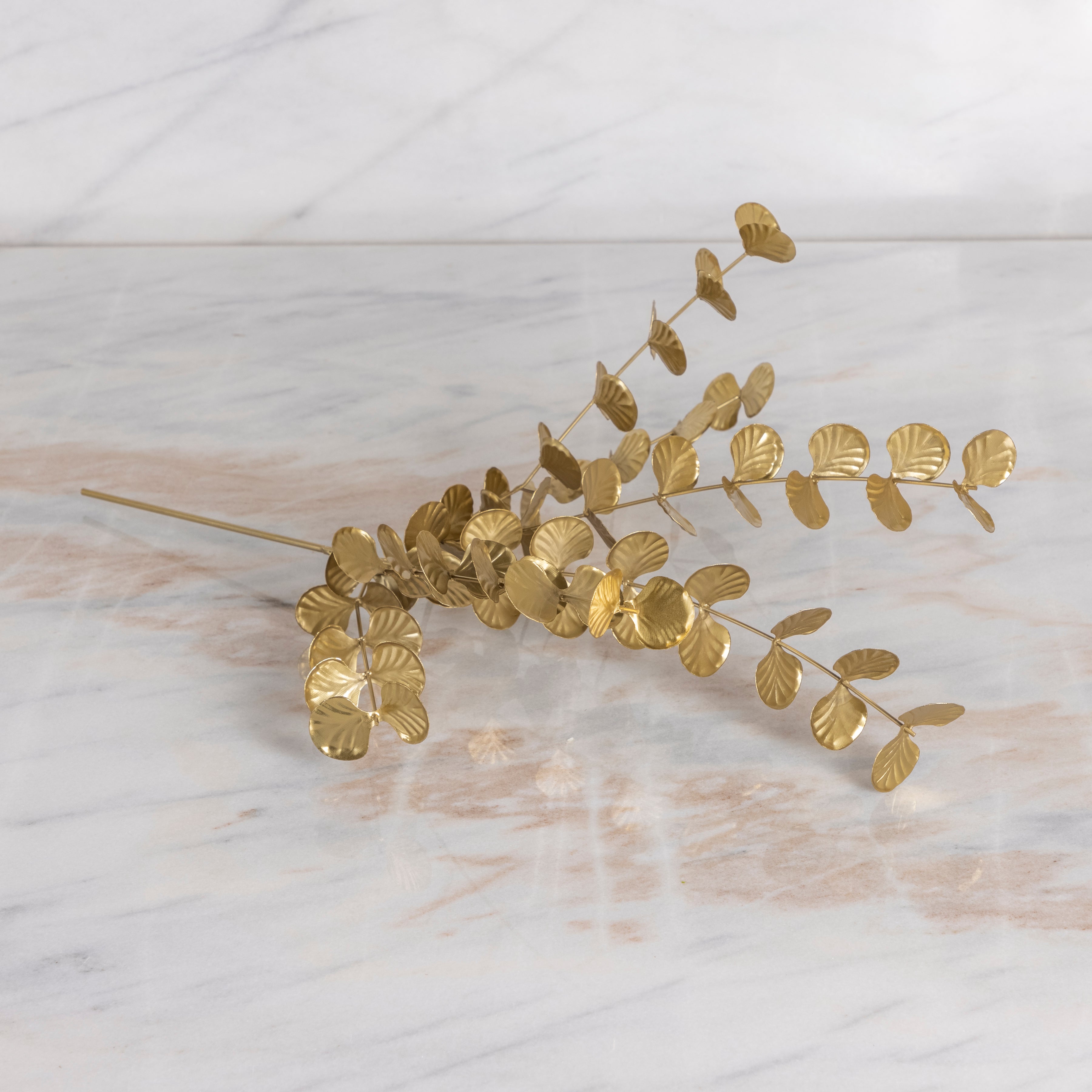 Botanical Stem, Eucalyptus