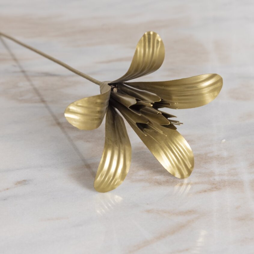 Botanical Stem, Lily