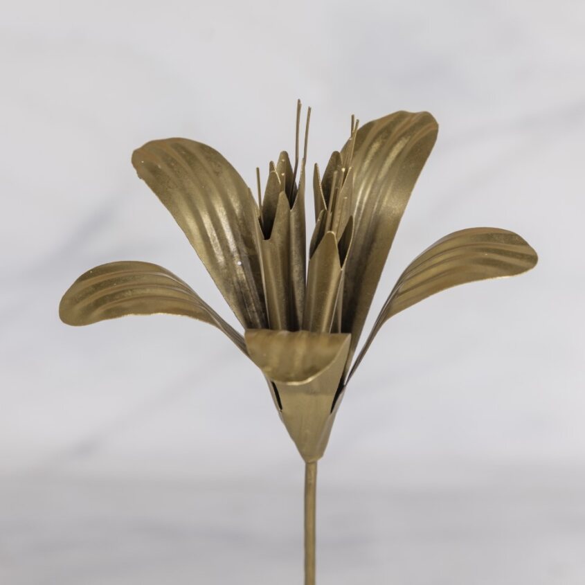 Botanical Stem, Lily