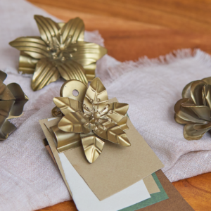 Botanical Clip, Set of 5