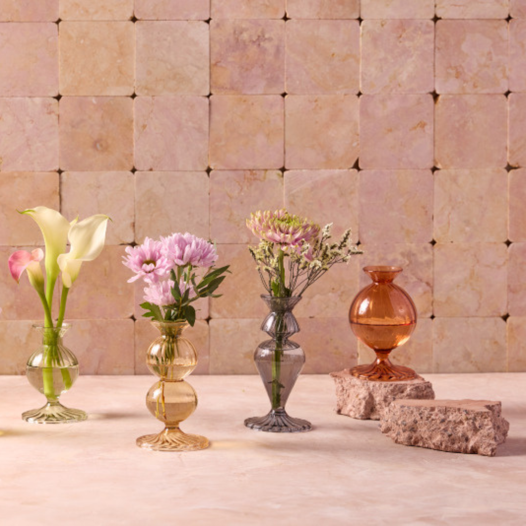 Nalia Budvase, Parakeet