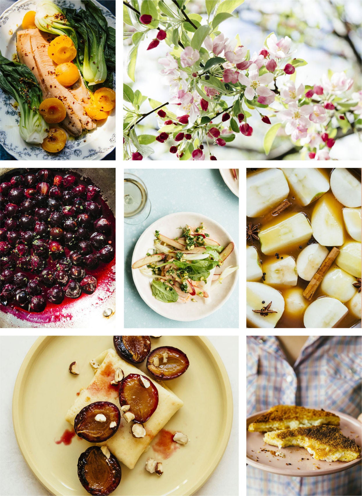 Pulp: A Practical Guide to Cooking with Fruit by Abra Berens