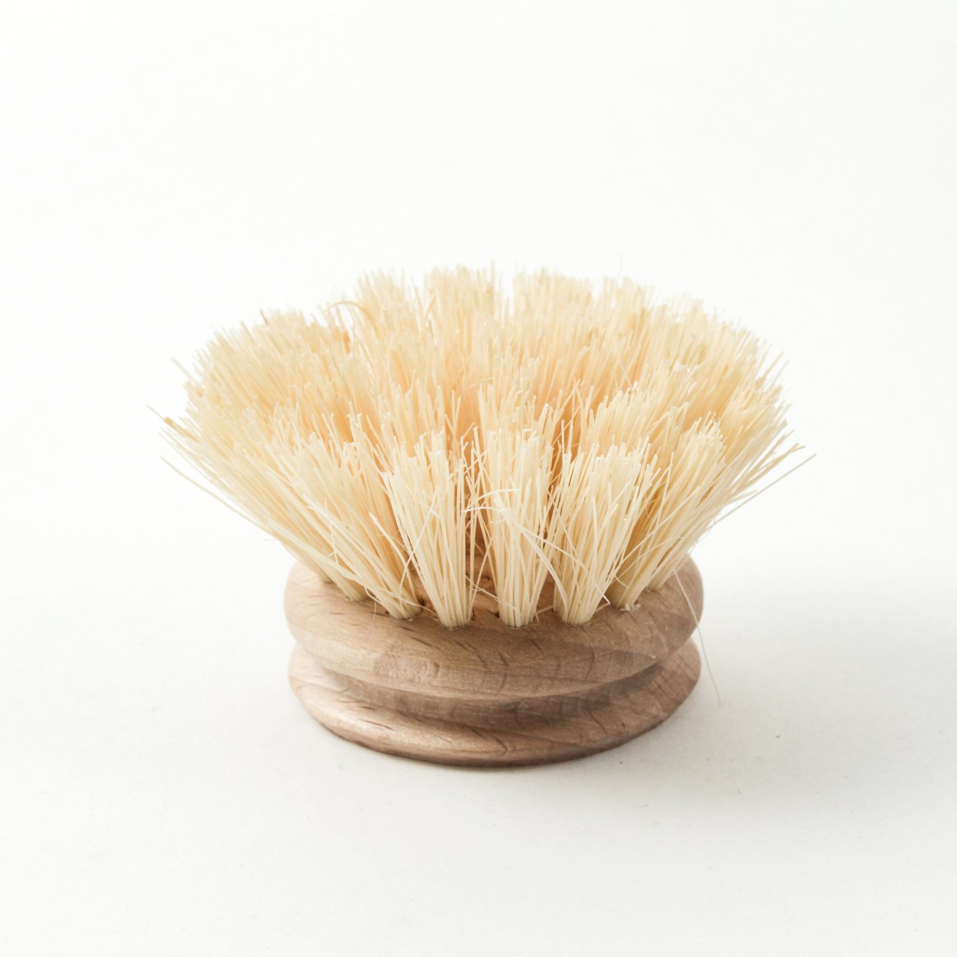 Andrée Jardin Tradition Dish Brush Head (Set of 4) Andrée Jardin andree-jardin-tradition-dish-brush-head-set-of-4 - French Dry Goods