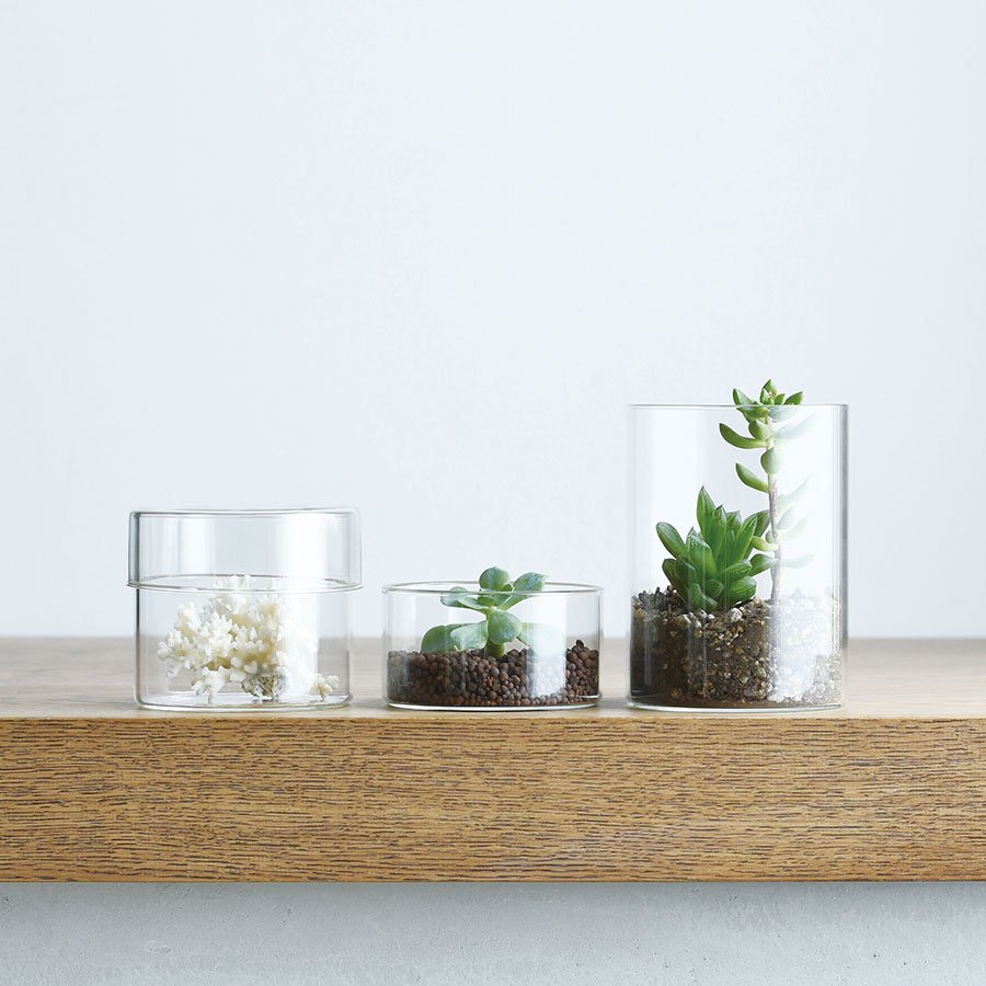 Glass Canister, Medium