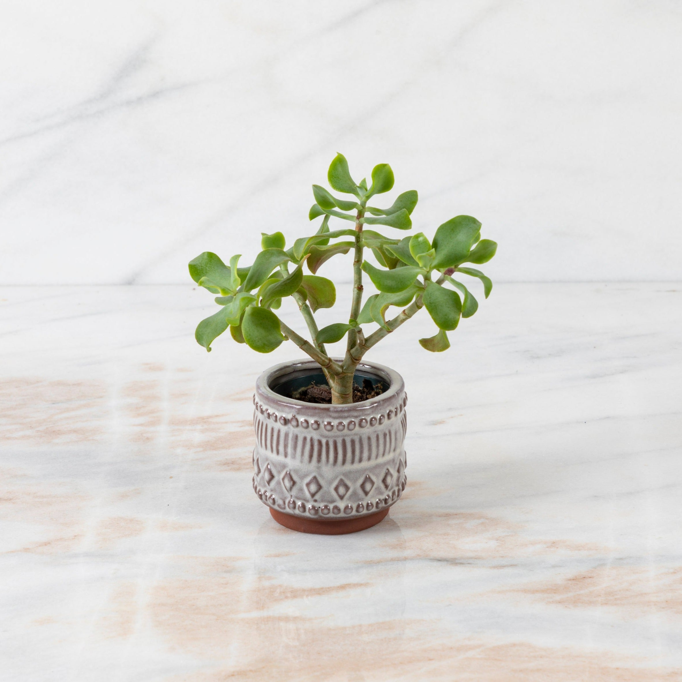 Freja Pot, Small