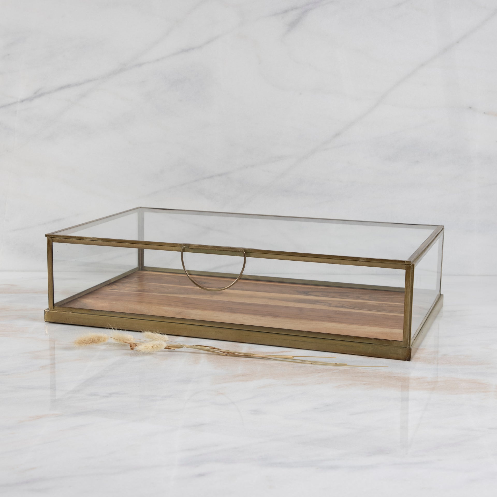 Glass Display Case with Wood Base Large
