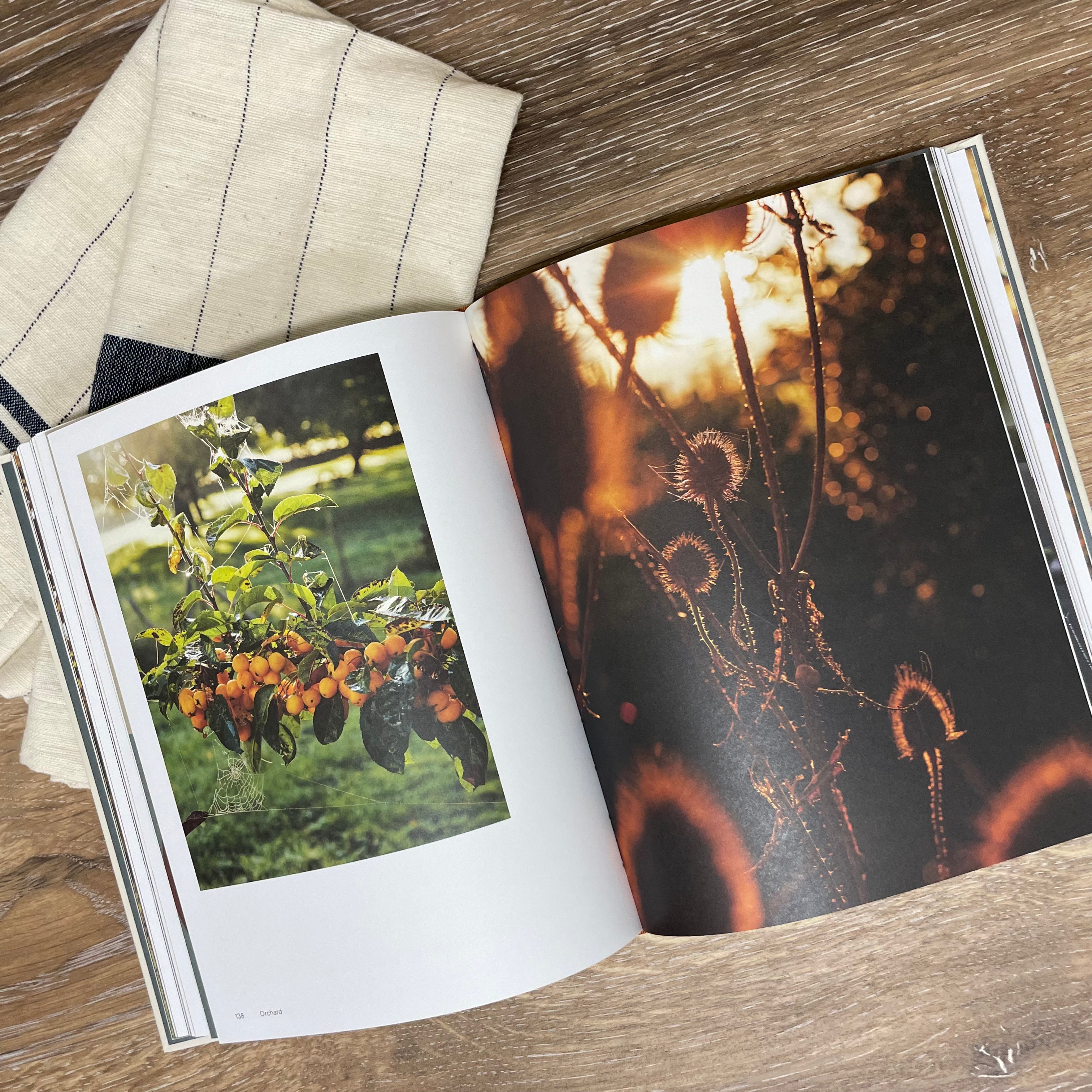 Orchard: Over 70 Sweet and Savoury Recipes from the English Countryside by James Rich