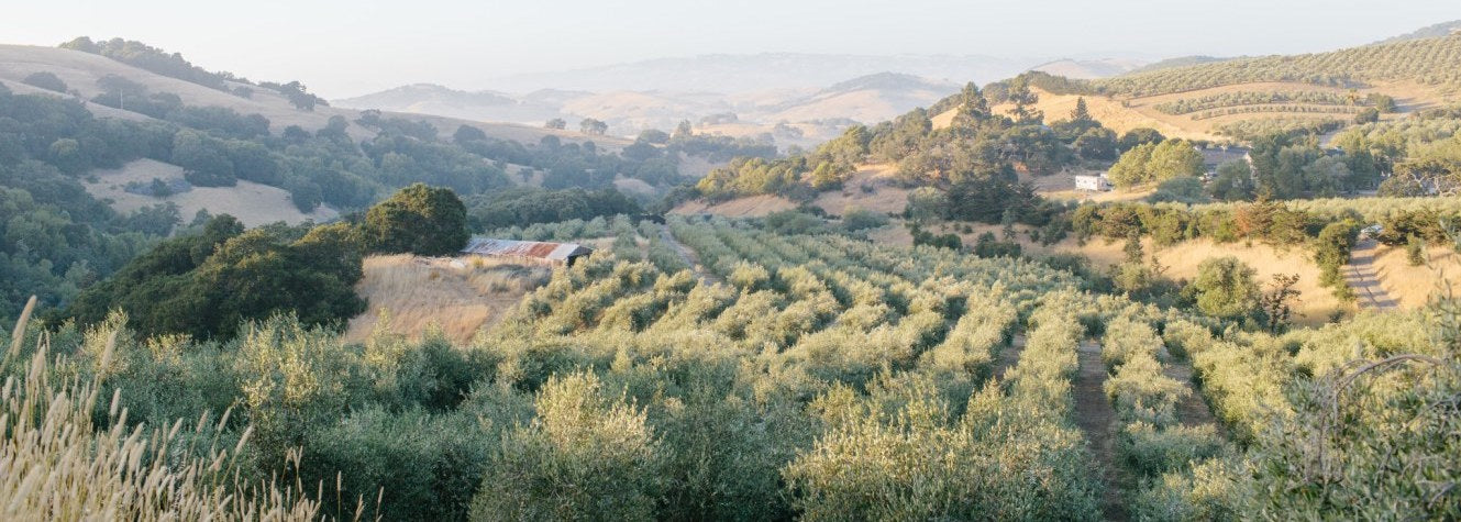 McEvoy Ranch