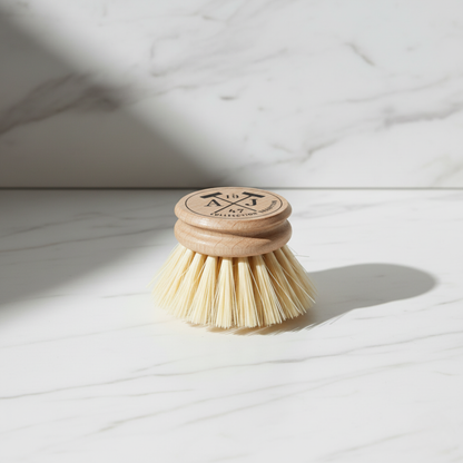 Andree Jardin Handled Dish Brush Refills - Head Only / No Handle min 12