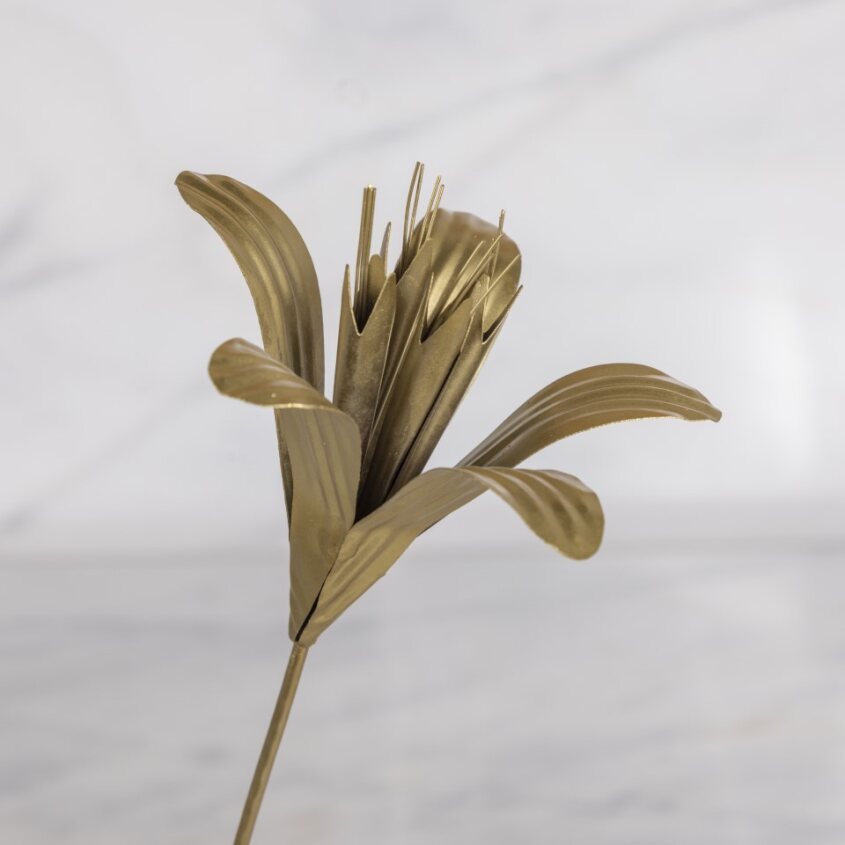 Botanical Stem, Lily