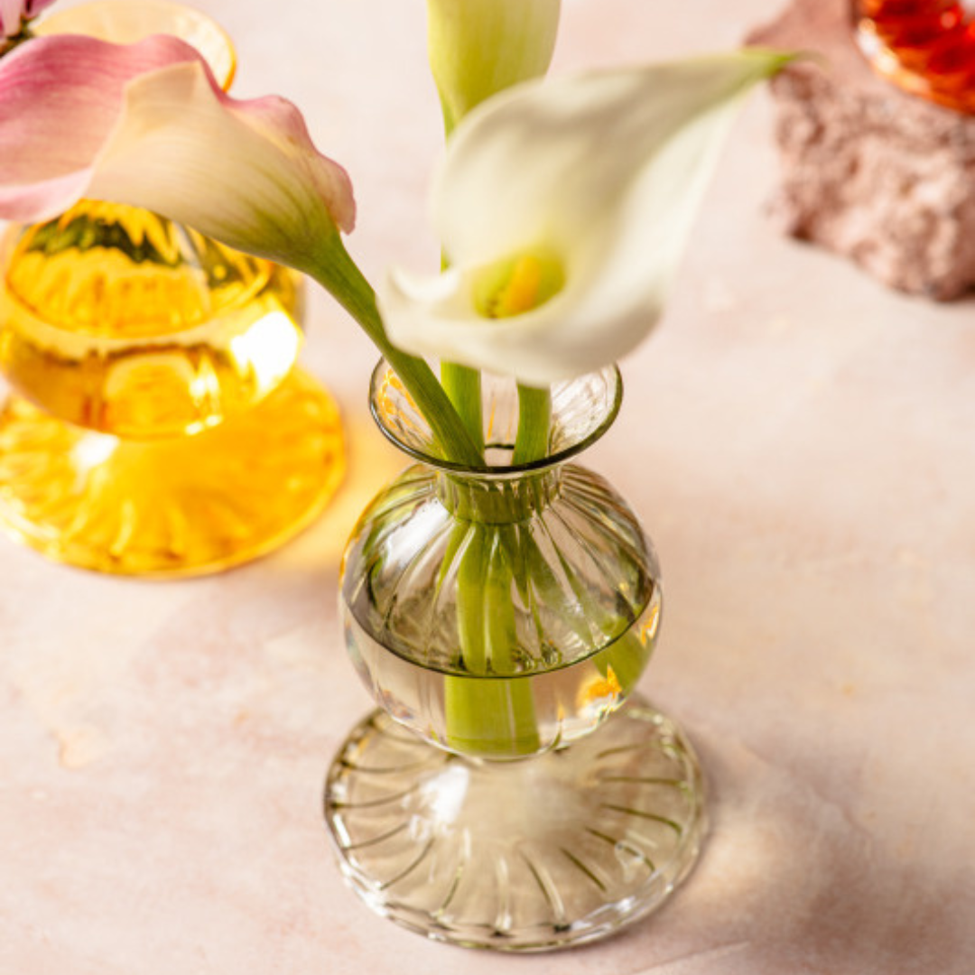 Nalia Budvase, Parakeet