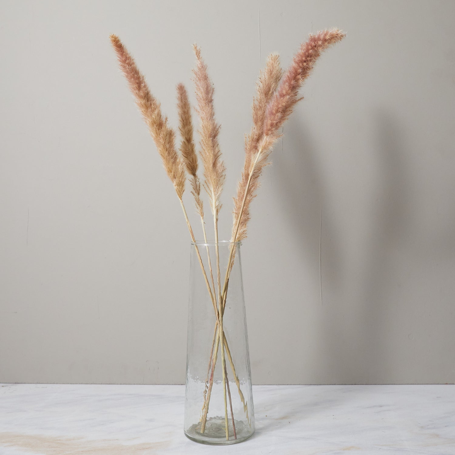 Bunch of Pampas Grass, Small, Brown