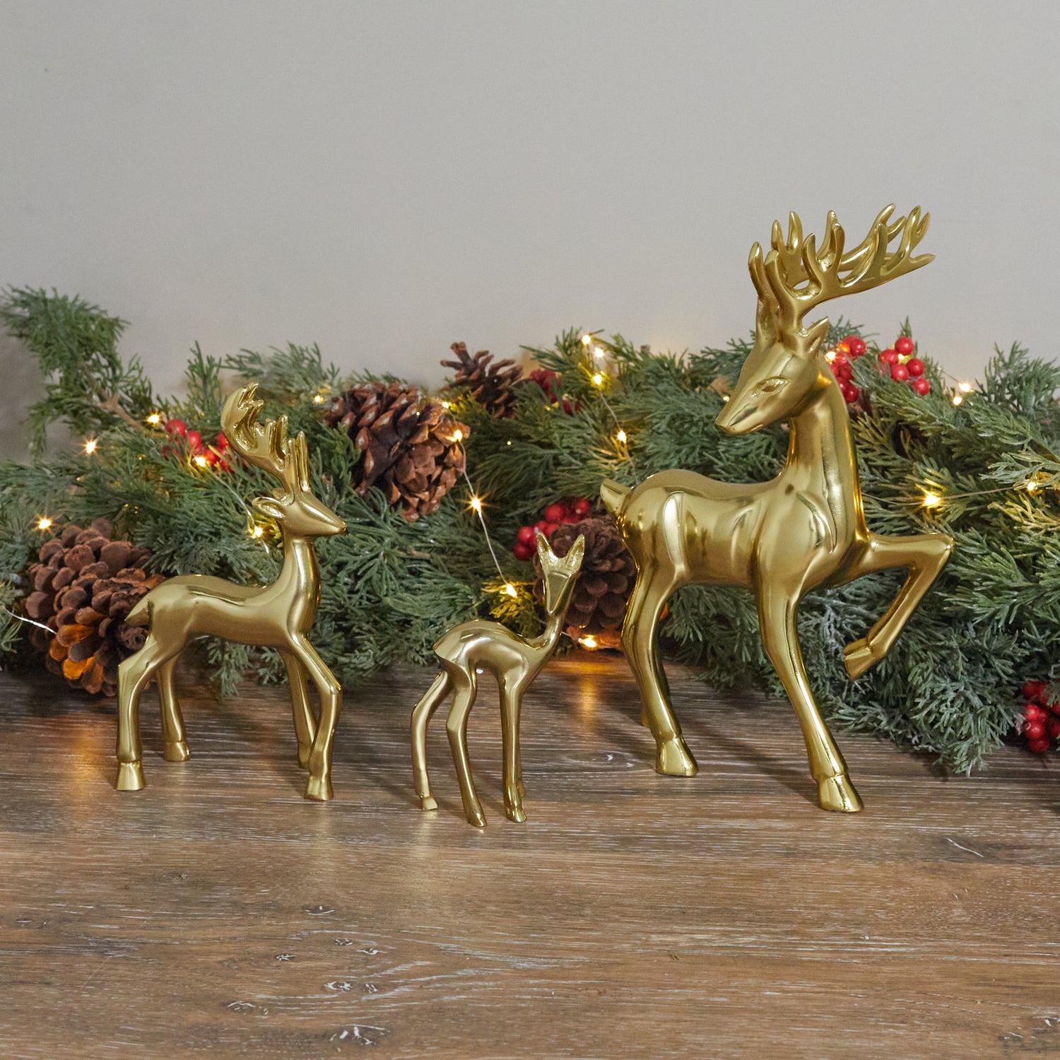 Gold Reindeer, Fawn