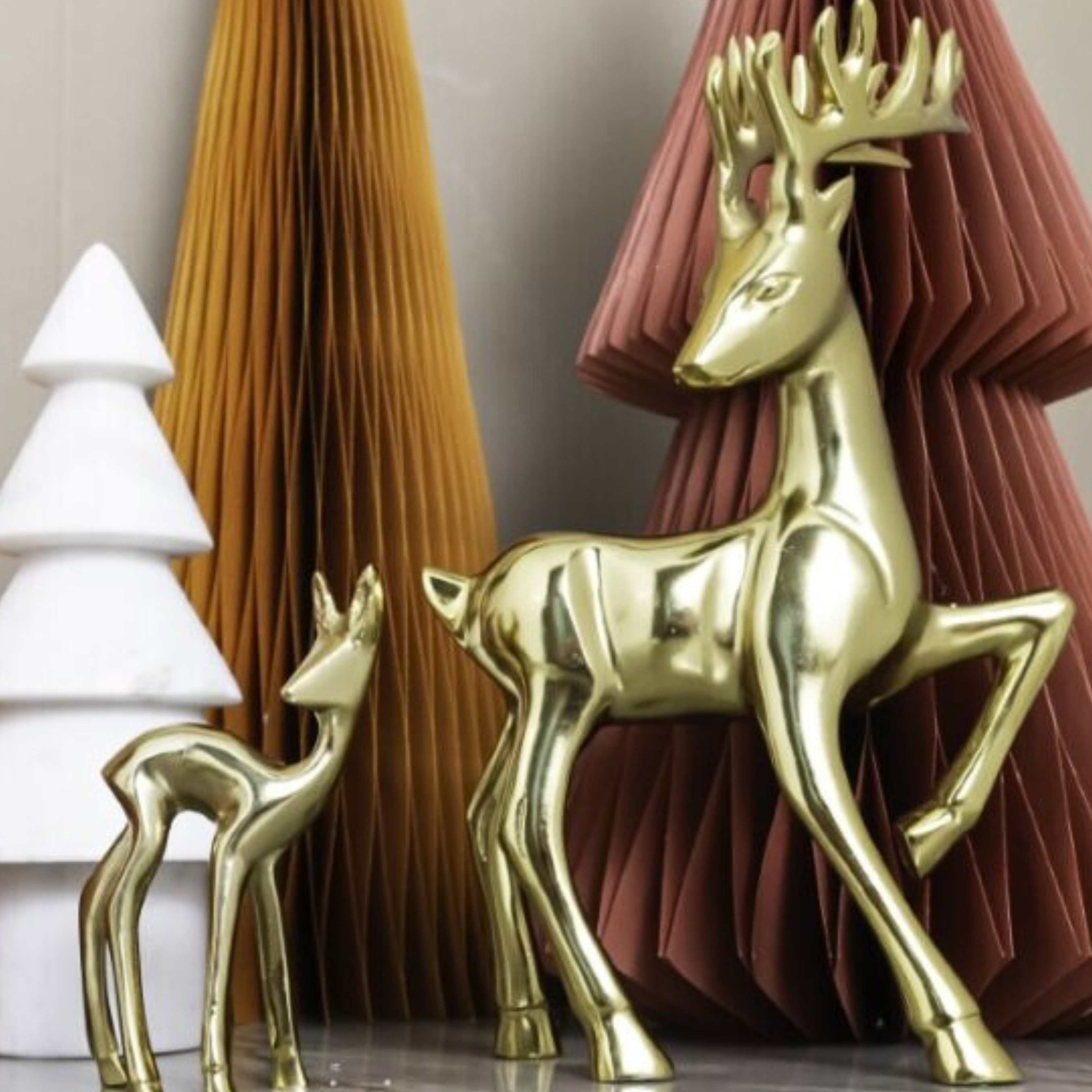 Gold Reindeer, Fawn