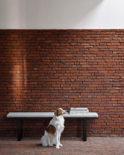 Stability Bench, Natural Fabric