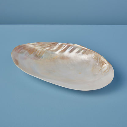 Seashell Footed Dish
