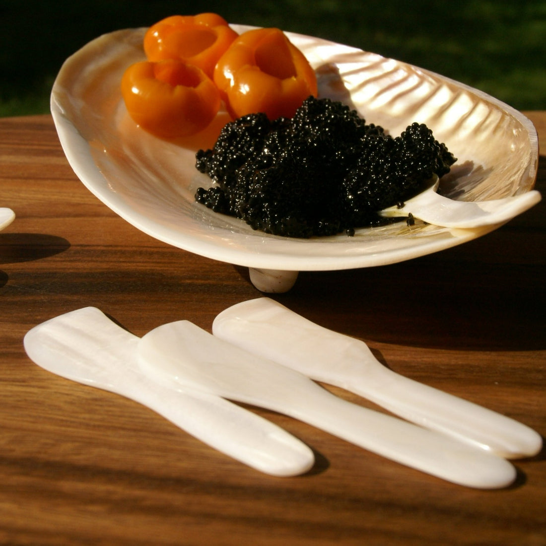 Shell Spreaders, Set of 4