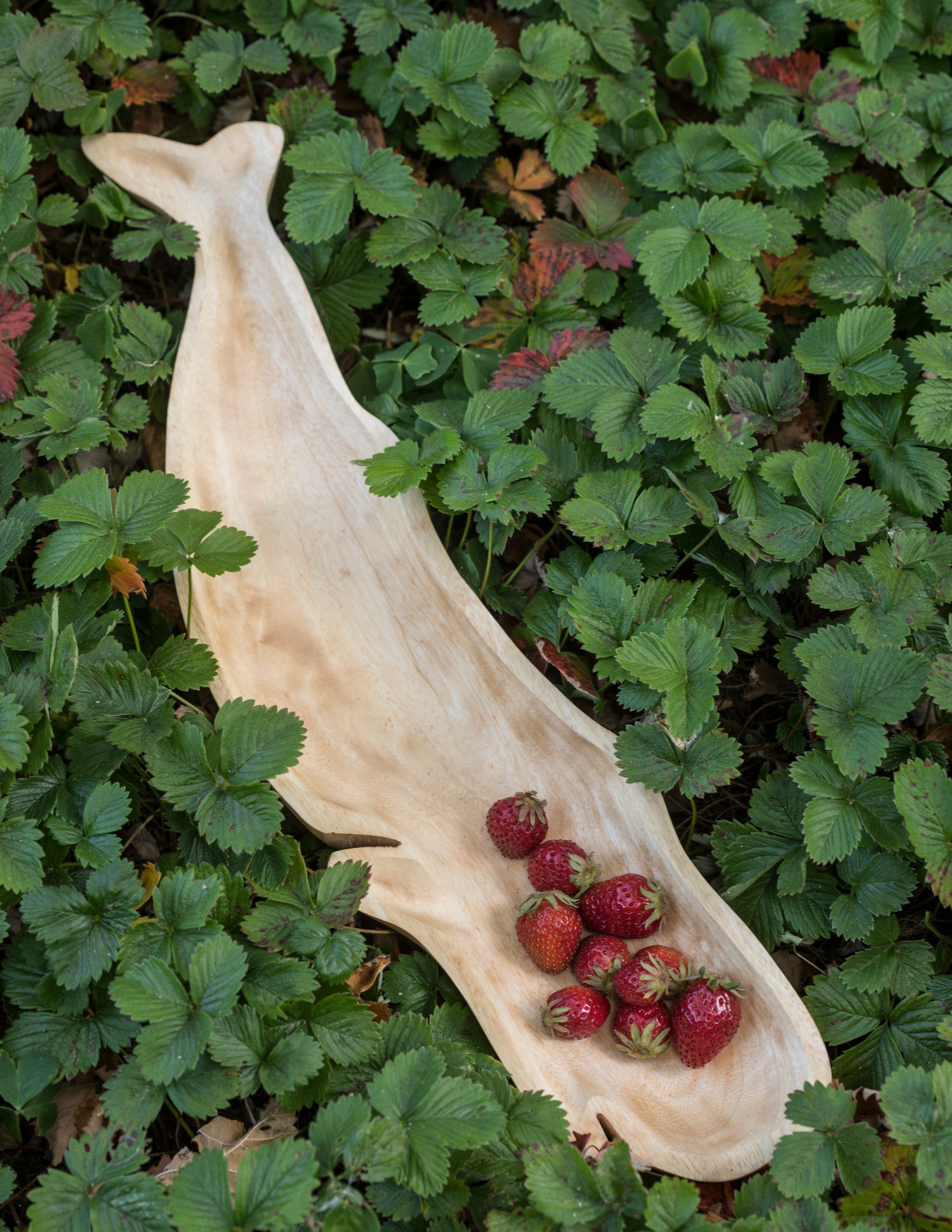 Kiln Mango Wood Whale Dish – Be Home - Main Image