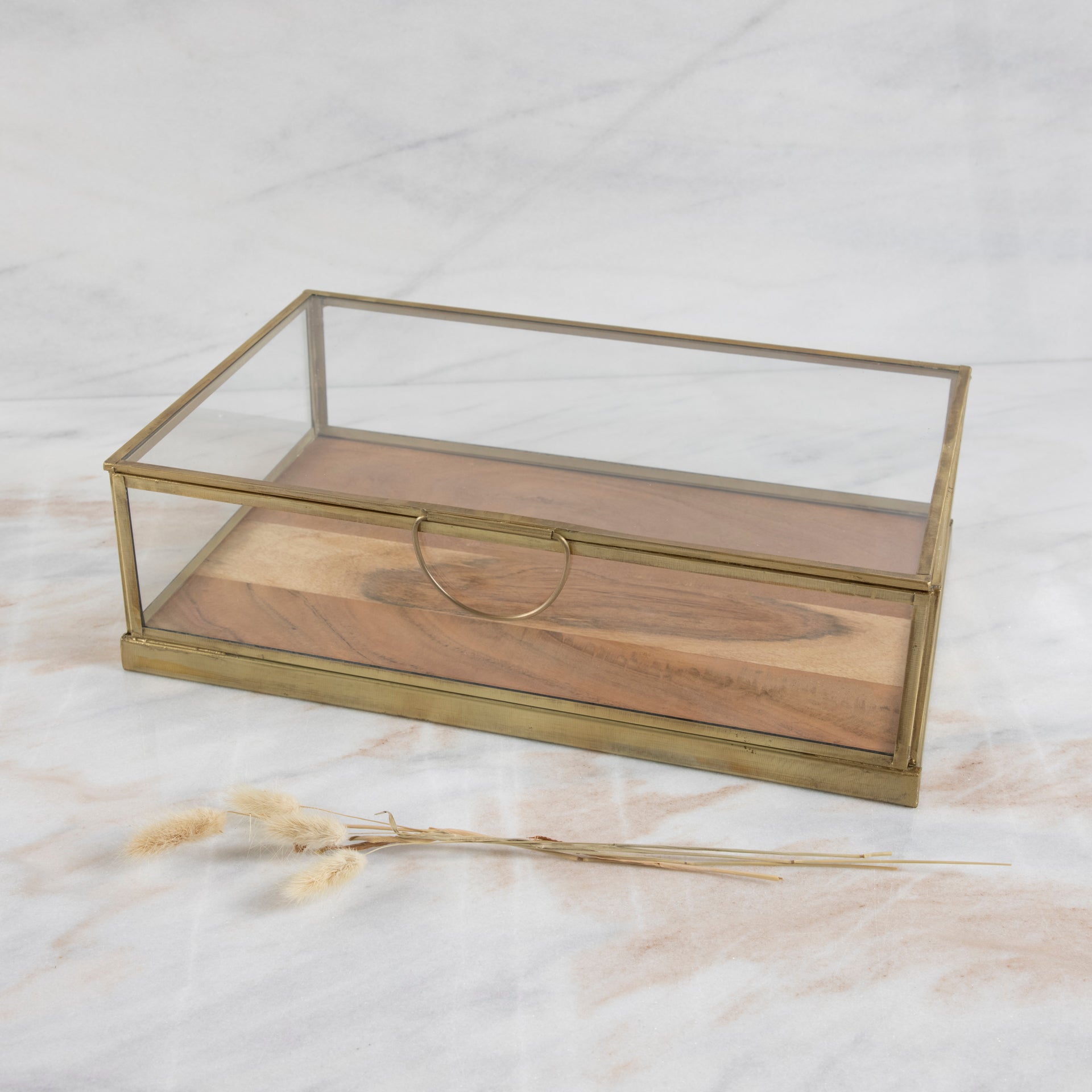 Glass Display Case with Wood Base Medium