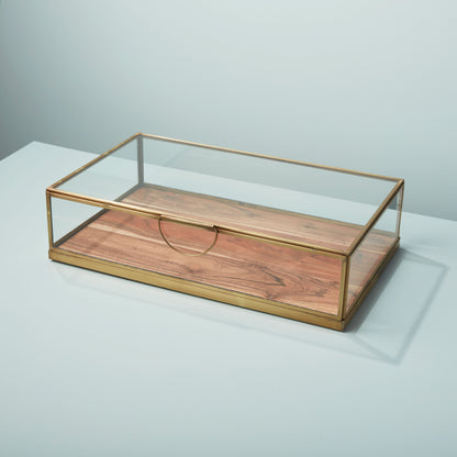 Glass Display Case with Wood Base Large