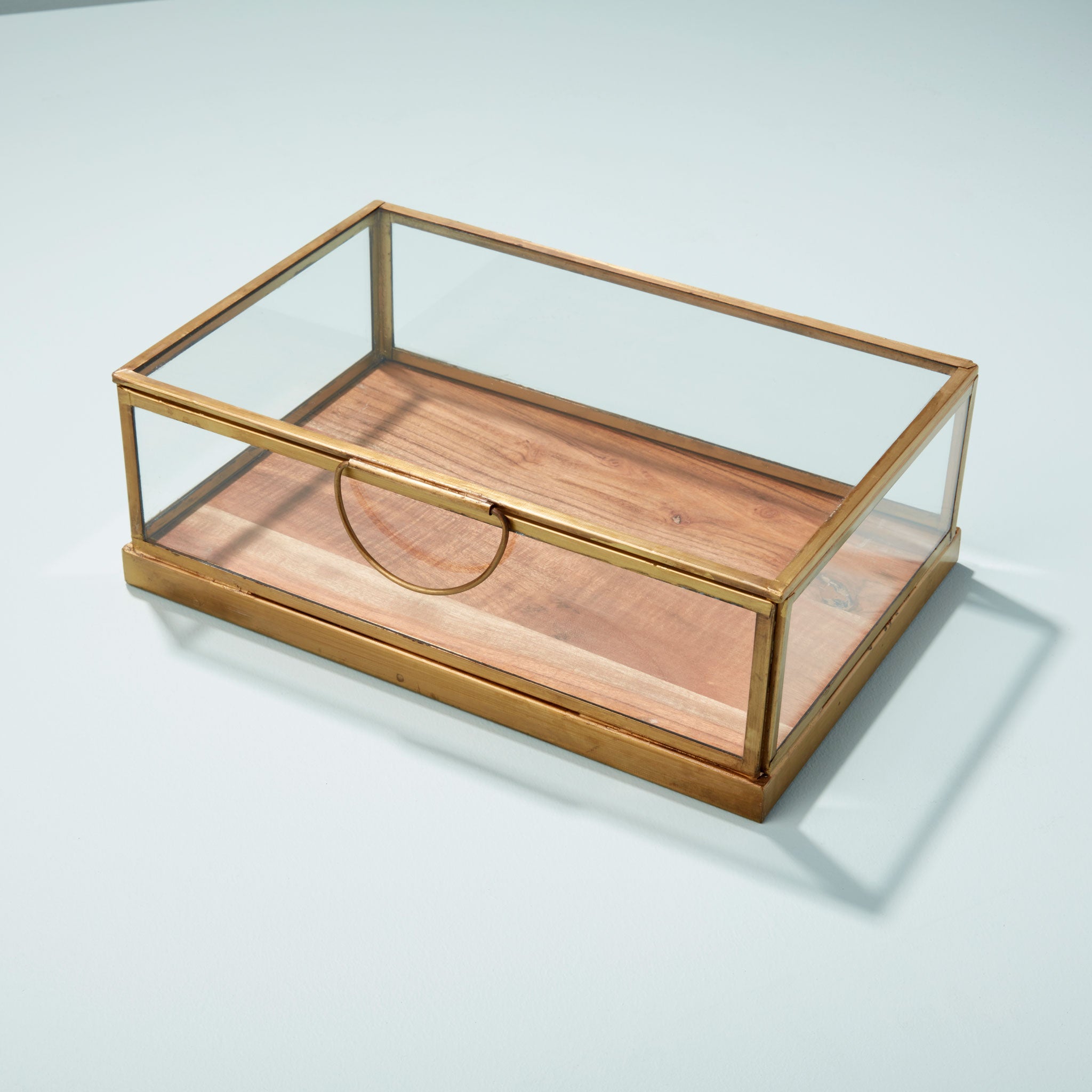 Glass Display Case with Wood Base Small