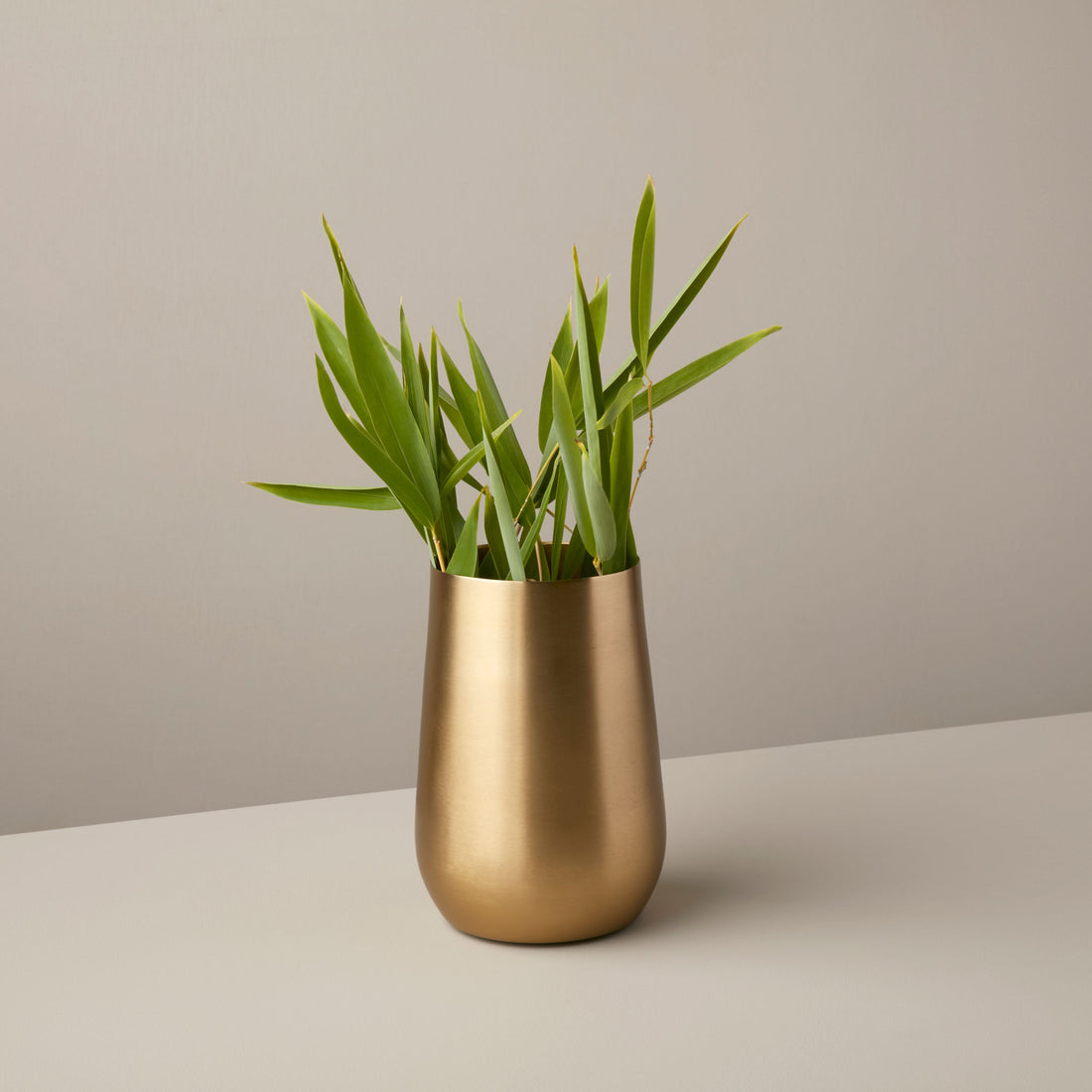 Selene Vase, Medium
